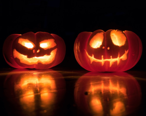 Halloween camp 2024